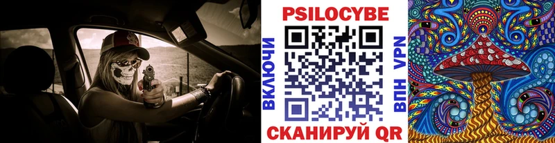 Галлюциногенные грибы Psilocybe  Дудинка 